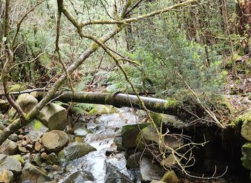 australia/mount-wellington/landmark/st-crispin-s-well