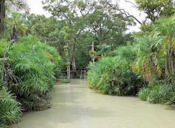 bangladesh/sundarbans/landmark/karamjal