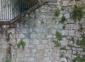 france/aquitaine/landmark/the-castle-of-the-counts-of-armagnac