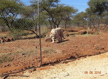 south-africa/pilanesberg-national-park/landmark/predator-world