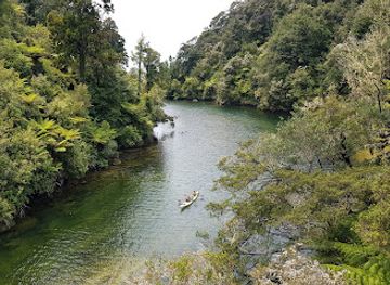 new-zealand/abel-tasman-national-park/landmark/falls-river-swing-bridge