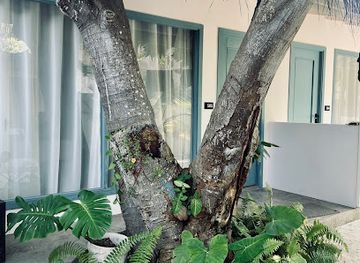 maldives/baa-atoll/landmark/manta-reserve