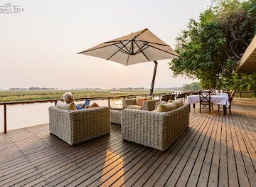 zambia/lower-zambezi-national-park/landmark/sausage-tree-camp-zambia