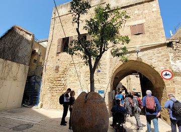 israel/tel-aviv/florentin/landmark/suspended-orange-tree