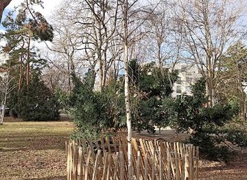 austria/vienna/ottakring/landmark/birke-16-23-fur-johanna-dohnal