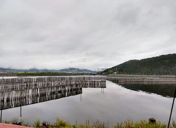 norway/nord-trondelag/landmark/norwegian-sawmill-museum