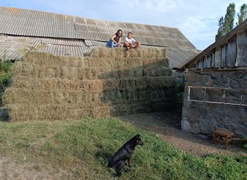 armenia/aparan/landmark/anush-tatianc