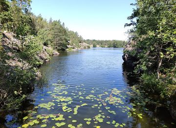 sweden/stockholm-archipelago/landmark/oak-forest-at-the-canal-guide-to-silence-stockholm