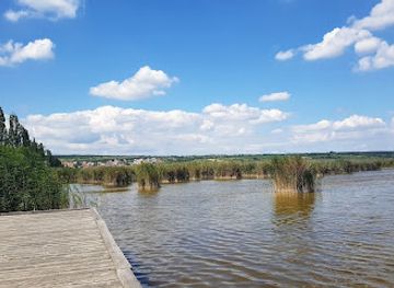 austria/neusiedler-see/landmark/neusiedlersee-nature-reserve