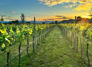 montenegro/zeta-plain/landmark/monte-grande-winery
