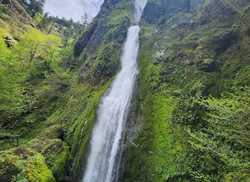 oregon/cascade-mountains/landmark/starvation-creek-falls