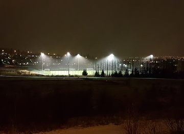 iceland/reykjavik-capital-area/landmark/vikin