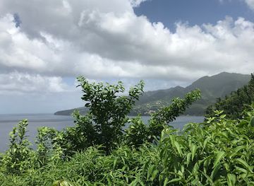dominica/saint-david/landmark/rainforest-riding