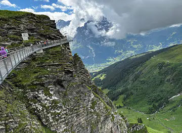 First View