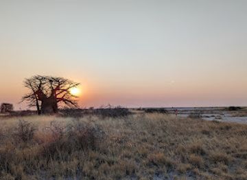 botswana/makgadikgadi-pans/landmark/nata-bird-sanctuary