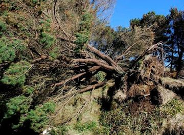faroe-islands/vagur/landmark/vioarlundin-vio-tvoroyrar-kirkju