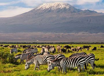tanzania/kilimanjaro-region/landmark/kilinge-adventures-best-tanzania-tour-company-serengeti-safari-operator-kilimanjaro-climbing-join-groups-in-moshi-arusha