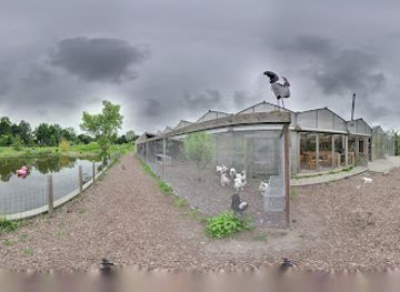 netherlands/flevoland/landmark/almere-jungle