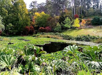 australia/north-east-south-australia/landmark/mount-lofty-botanic-garden