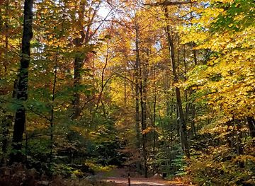vermont/rutland-county/landmark/gifford-woods-state-park