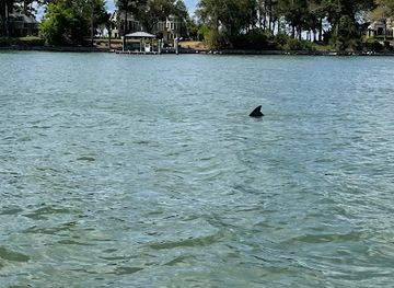 south-carolina/hilton-head-island/landmark/island-explorer-dolphin-and-nature-tours-hilton-head