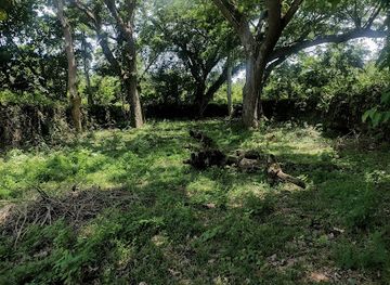 philippines/bicol-region/landmark/budiao-church-ruins