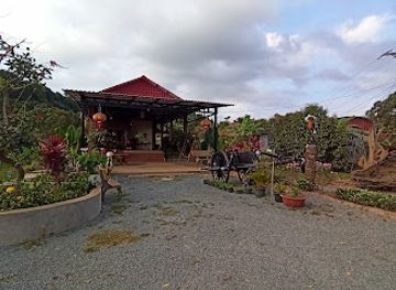 cambodia/kep/landmark/sothy-s-pepper-farm