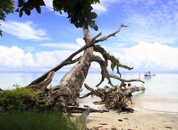 india/andaman-islands/landmark/elephant-beach