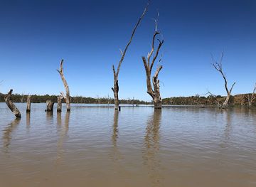 australia/riverland/landmark/canoe-adventures-riverland
