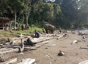 indonesia/bukit-lawang/landmark/yusricafe