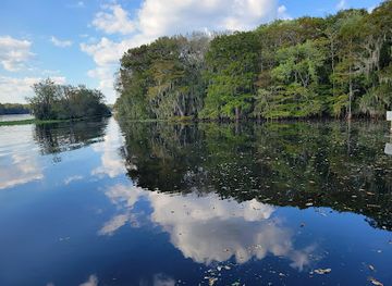 florida/everglades-national-park/landmark/big-cypress-national-preserve
