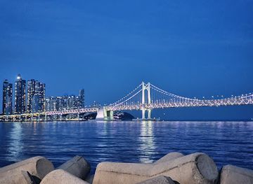 south-korea/busan/landmark/namcheon-dong-cherryblossom-street-in-spring