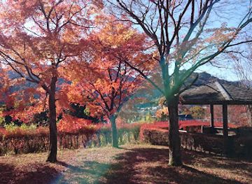 japan/nikko/landmark/nikkoshi-ogurayama-forest-park