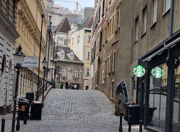 austria/vienna/landmark/rare-secular-gothic-facade