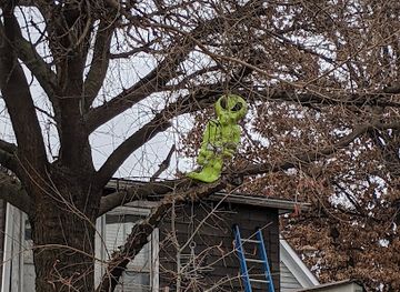 missouri/st-louis/landmark/7-11-alien