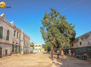 somalia/hargeisa/landmark/somaliland-travel-agency
