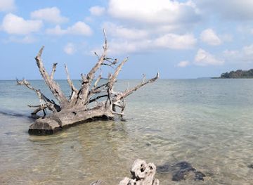 india/andaman-and-nicobar-islands/landmark/zonal-anthropological-museum