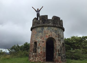 puerto-rico/big-island/landmark/bosque-estatal-toro-negro