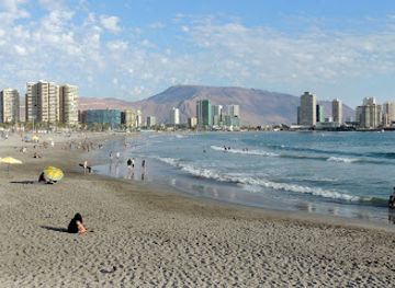chile/iquique/landmark/playas-en-iquique