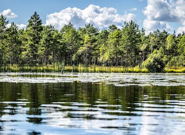 latvia/teici-nature-reserve/landmark/teirumniki-bog-trail