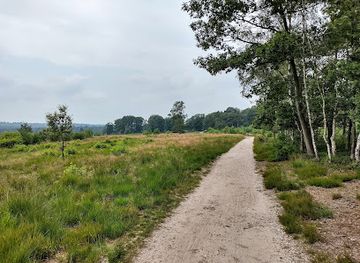 netherlands/hoge-veluwe-national-park/landmark/schenkenshul