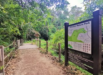 singapore/macritchie-reservoir/landmark/venus-link