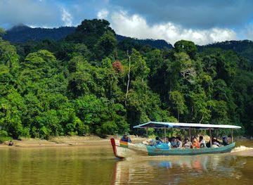 bolivia/la-paz/landmark/deep-rainforest-tour-operator