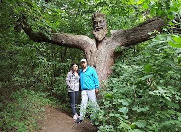 armenia/dilijan-national-park/landmark/king-of-the-forest