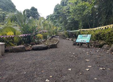 samoa/satupa-itea/landmark/afu-aau-waterfalls