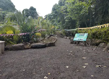 Afu Aau Waterfalls