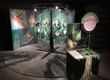 connecticut/windham-county/landmark/connecticut-state-museum-of-natural-history