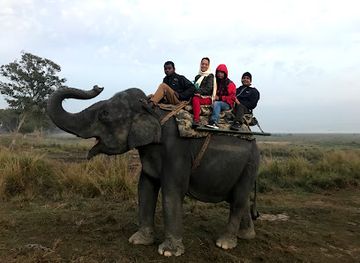india/kaziranga-national-park/landmark/landmark-woods