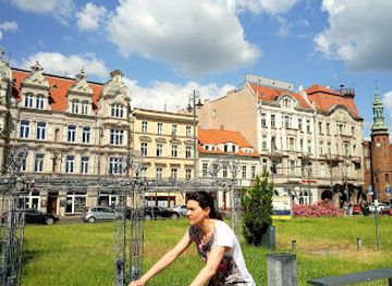 poland/bydgoszcz/landmark/district-museum-leona-wyczolkowskiego