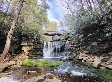 west-virginia/canaan-valley/landmark/elakala-falls-trail